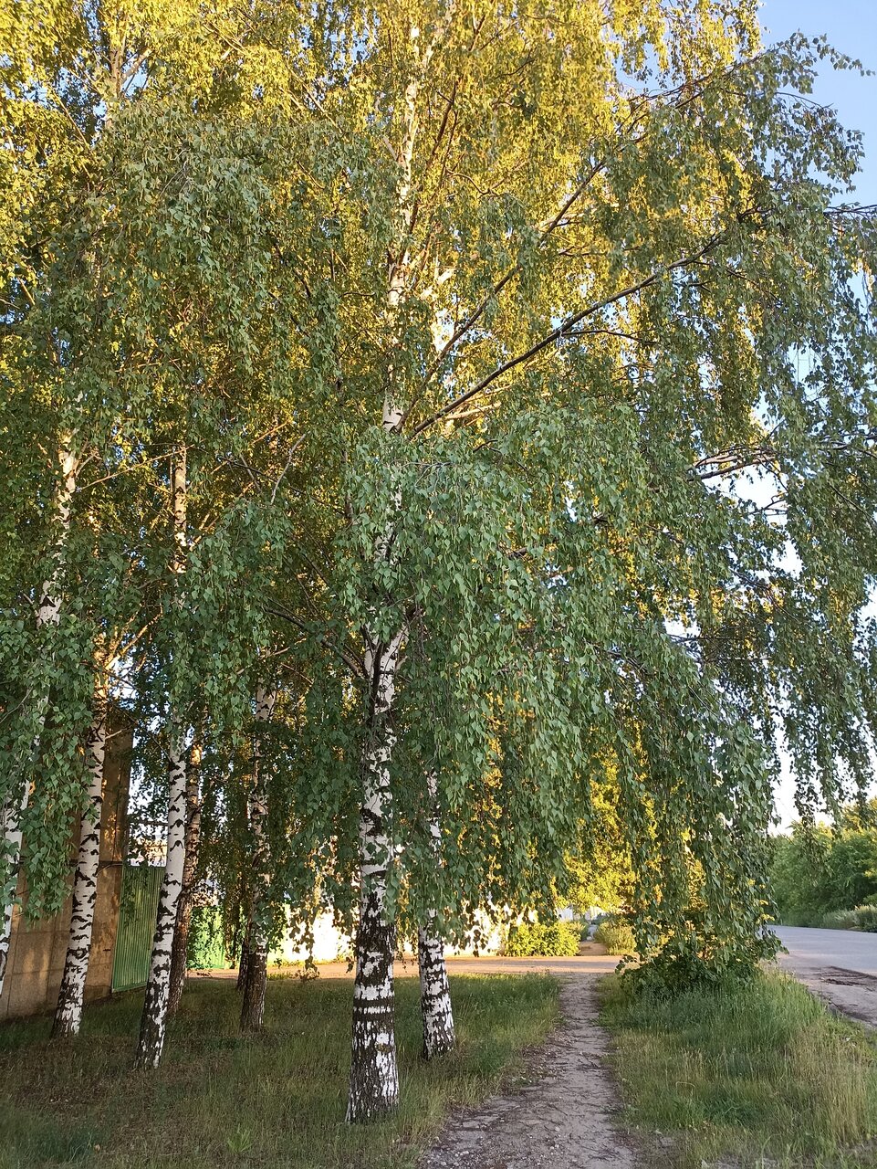 Гостиница Рассвет Саранск-89