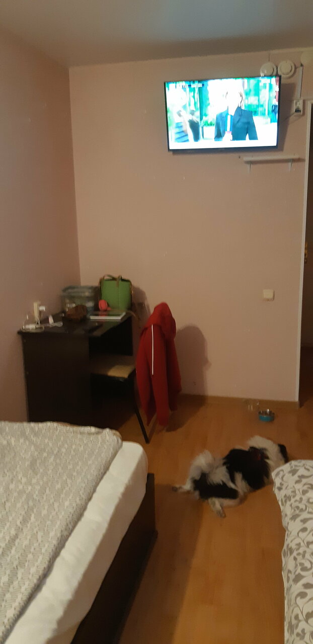 Гостиница Рассвет Саранск-93