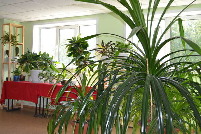 Гостиница Рассвет Саранск-12